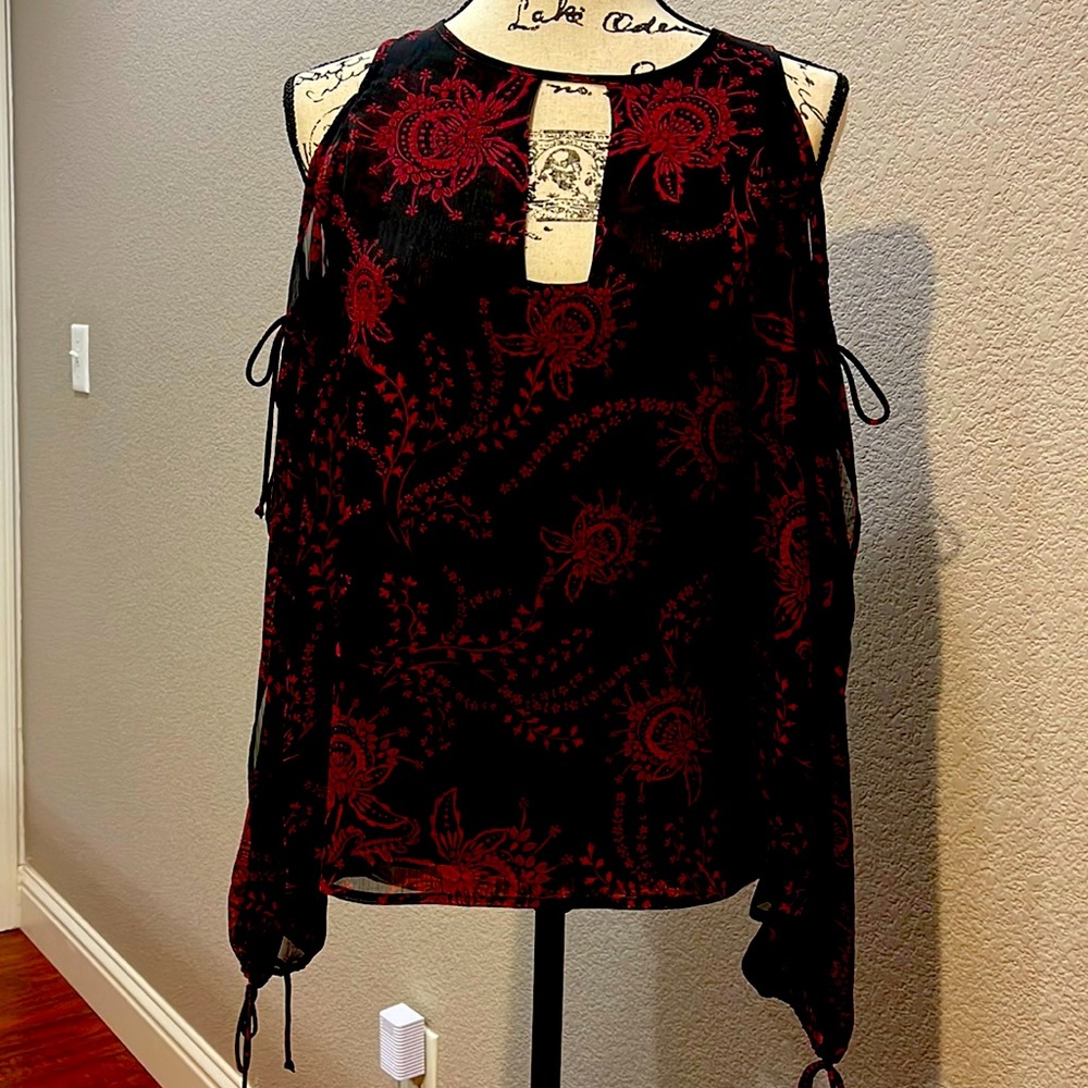 Sheer Dainty Blouse with peekaboo long sleeves